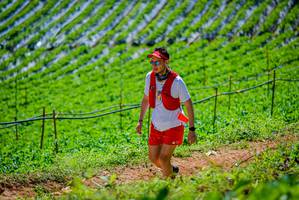 BIB: 
                            <button type="button" onclick="openModal(19164544)" class="btn btn-primary btn-sm float-right btn-popup" data-toggle="modal" data-target=".modal-high-quality">
                        <i class="fas fa-shopping-cart"></i> Add to Cart
                    </button>
                                            <button type="button" onclick="isThisMe(19164544, true)" class="btn btn-success btn-sm float-right btn-popup btn-isme hidden" data-toggle="tooltip" data-placement="bottom" title="นี่คือรูปของคุณใช่ไหม คลิกที่นี่เพื่อเอาเข้าอัลบั้ม">
                        <i class="fas fa-plus"></i> Add to album
                    </button>
                    <button type="button" onclick="isThisMe(19164544, false)" class="btn btn-warning btn-sm float-right btn-popup btn-isnotme hidden">
                        <i class="fas fa-ban"></i> Remove from album
                    </button>